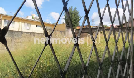 Venda Lote-Área-Terreno Renascença Belo Horizonte