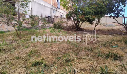 Venda Lote-Área-Terreno Belmonte Belo Horizonte