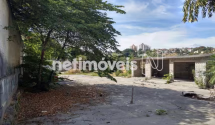 Venda Lote-Área-Terreno Alto dos Pinheiros Belo Horizonte