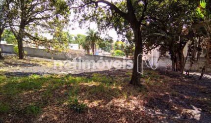 Venda Lote-Área-Terreno Trevo Belo Horizonte