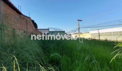 Venda Lote-Área-Terreno Jardim Montanhês Belo Horizonte