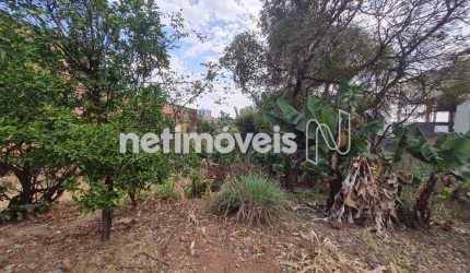 Venda Lote-Área-Terreno Cinquentenário Belo Horizonte