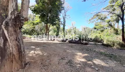 Venda Lote-Área-Terreno Nova Pampulha Vespasiano