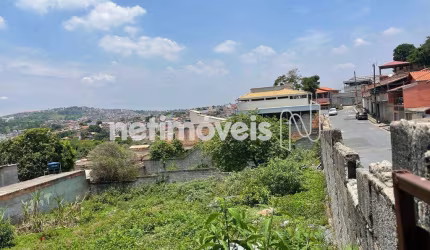 Venda Lote-Área-Terreno Xodó Marize Belo Horizonte