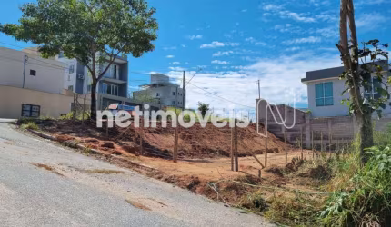 Venda Lote-Área-Terreno Novo Centro Santa Luzia