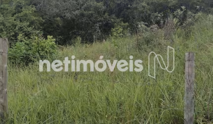 Venda Lote-Área-Terreno Área Rural Ribeirão das Neves