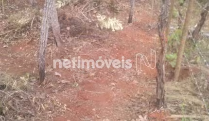 Venda Lote-Área-Terreno Shalimar Lagoa Santa