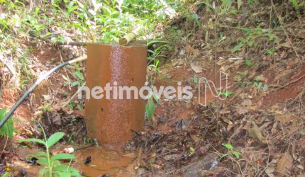 Venda Fazenda Zona Rural Itambé do Mato Dentro