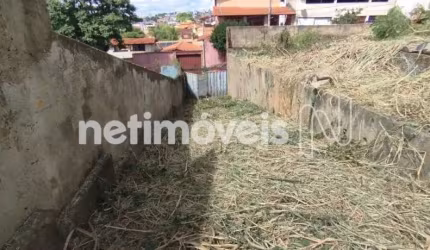 Venda Lote-Área-Terreno Planalto Belo Horizonte