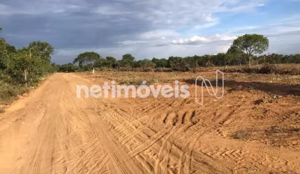 Venda Lote-Área-Terreno Fazenda Nova Suíça Três Marias