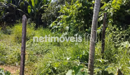 Venda Lote-Área-Terreno Encruzilhada São Pedro dos Ferros
