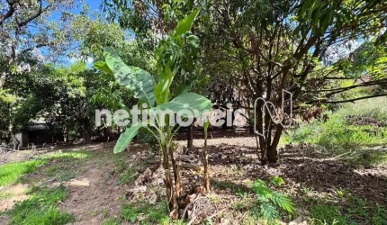 Venda Lote-Área-Terreno Garças Belo Horizonte