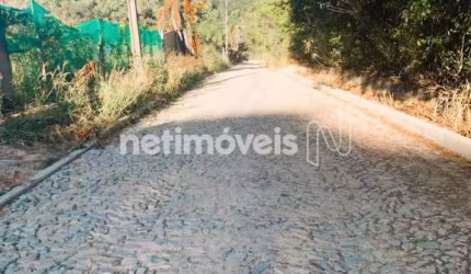 Venda Lote-Área-Terreno Vila Ipê Amarelo Contagem