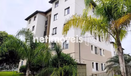 Venda Apartamento 2 quartos Paulo Vi Belo Horizonte