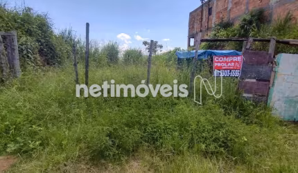 Venda Lote-Área-Terreno Menezes (justinópolis) Ribeirão das Neves