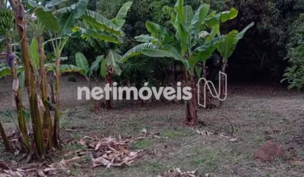 Venda Lote-Área-Terreno Garças Belo Horizonte