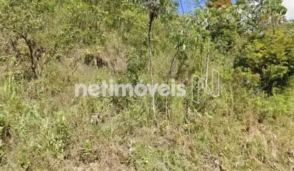 Venda Lote-Área-Terreno Mangabeiras Belo Horizonte