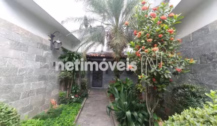 Venda Apartamento 3 quartos Cidade Nova Belo Horizonte
