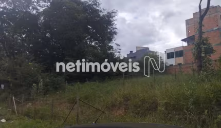 Venda Lote-Área-Terreno Bom Jesus Contagem