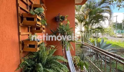 Venda Apartamento 3 quartos Cidade Nova Belo Horizonte