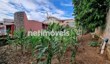 Venda Lote-Área-Terreno Santa Branca Belo Horizonte
