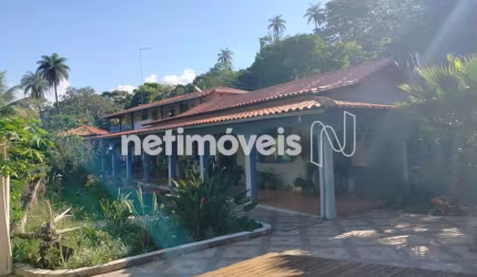 Venda Sítio Fazenda dos Palmares Jaboticatubas