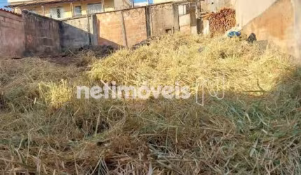 Venda Lote-Área-Terreno Cachoeirinha Belo Horizonte