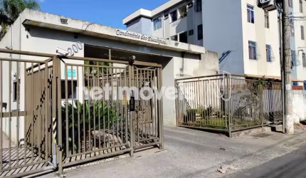 Venda Apartamento 3 quartos Jaqueline Belo Horizonte
