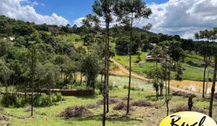Chácara em campo alegre a venda com 100.000 m² com 2 nascentes, lago, araucárias, plantações, área de heliporto, campo de futebol/vôlei, etc..