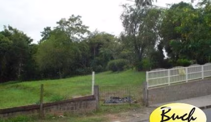 Terreno para venda bairro Atiradores  Joinville Buch Imóveis