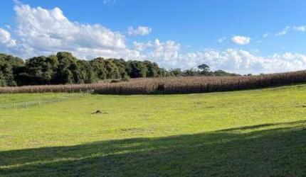Terreno à venda no Lageado, Campo Alegre  por R$ 980.000