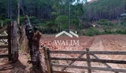 Fazenda à Venda na Zona Rural de Barbacena, MG  Ideal para Produção de Eucalipto e Criação de Gado!