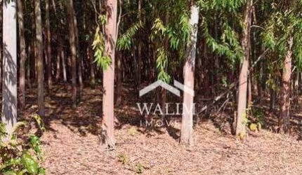 Fazenda à Venda - 1.550 Hectares em Baldim, MG