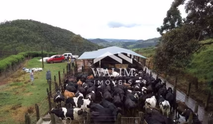 **FAZENDA DE EXCELÊNCIA EM ANTONIO CARLOS, MG – 214 HECTARES DE PRODUÇÃO E RIQUEZA NATURAL!**