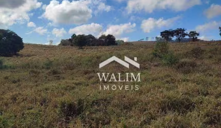 Terreno Fértil em Piedade dos Gerais: Sua Chance de Investir no Agronegócio Mineiro!