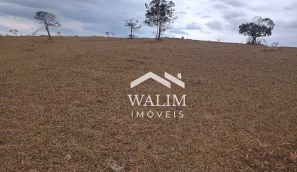 Terreno Rural de 27 ha em Piedade das Gerais, MG – Excelente Oportunidade!