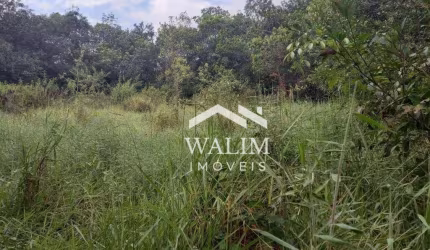Sítio à Venda, 5 Hectares, 50.000 m² em Passa Tempo - Zona Rural