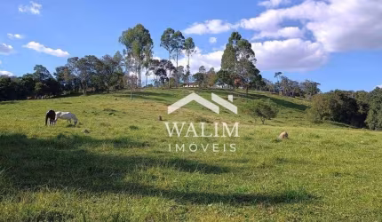 Fazenda à Venda na Zona Rural de Oliveira, MG - 34 Hectares : Uma Propriedade Completa para o Agronegócio!