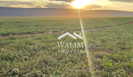Fazenda com 3 dormitórios à venda, 25800000 m² por R$ 200.000.000,00 - Zona Rural - Itajubá/MG