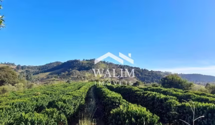 'Fazenda de 55 Hectares à Venda em Carmópolis de Minas: Oportunidade de Investimento no Polo Agrícola de Tomate em Minas Gerais'
