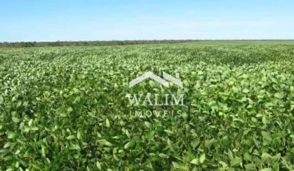 Fazenda de 1.032 Hectares à Venda em Bonito de Minas, MG