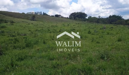 Terreno de 12 ha em Oliveira/MG – Infraestrutura Completa, Nascente e Pasto Formado!