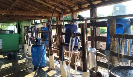 Fazenda de 126 Hectares em Pequi/MG – Terra Fértil, Abundância de Água e Casa Histórica!