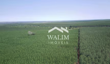 Fazenda à venda, 4 m² por R$ 180.000.000,00 - Zona Rural - Araguaiana/MT
