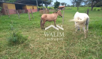 Fazenda com 3 dormitórios à venda, 1630000 m² por R$ 3.500.000,00 - Zona Rural - Paraopeba/MG