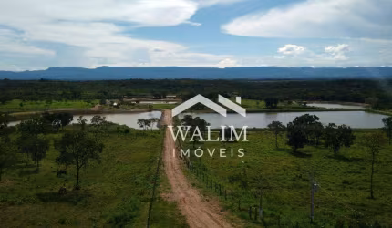 FAZENDA DE 1.952 HECTARES EM POCONÉ/MT ?? OPORTUNIDADE ÚNICA NO AGRONEGÓCIO BRASILEIRO