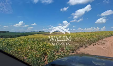 Fazenda de 484 Hectares em Carmo do Rio Claro, MG – Potencial Máximo para Lavouras e Investidores do Agronegócio