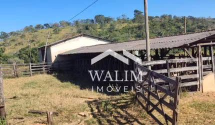 FAZENDA DE 123 HECTARES À VENDA EM SÃO VICENTE (BALDIM) – OPORTUNIDADE ÚNICA PARA AGROPECUÁRIA E INVESTIMENTO!