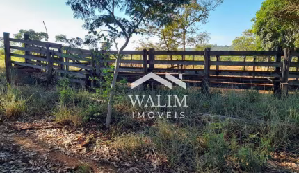 FAZENDA DE 78 HECTARES À VENDA PRÓXIMO A SÃO JOSÉ DE ALMEIDA – TERRA FÉRTIL, ÁGUA ABUNDANTE E LUCRO IMEDIATO!