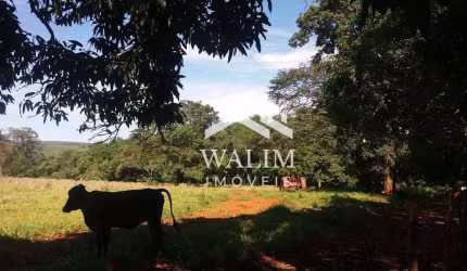 FAZENDA À VENDA COM 153,40 HECTARES, OPORTUNIDADE IMPERDÍVEL — PROPRIEDADE RURAL ENTRE CURVELO E FELIXLÂNDIA/MG